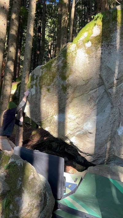 Doja v7, Gold Bar - Beta Video from TayTayCantMantle