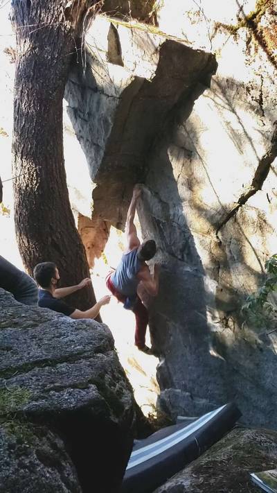 Bambi v8, Gold Bar - Beta Video from gaorlov