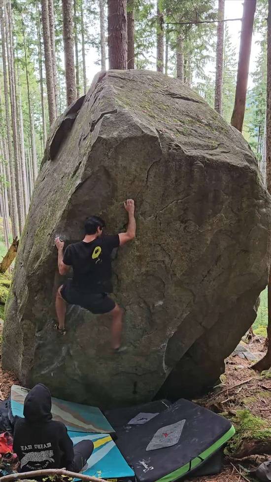 Burlwood Low v8, Gold Bar - Beta Video from vpinto