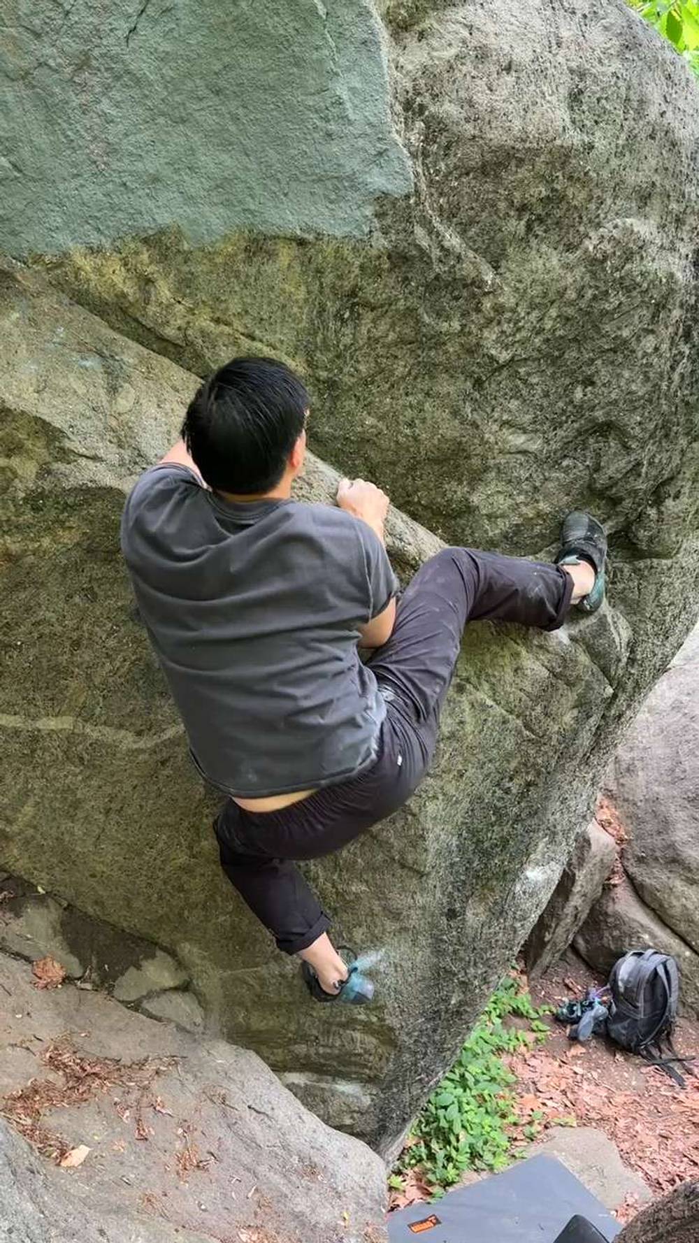 Bluntly Benign v5, Northwest Branch - Beta Video from chub