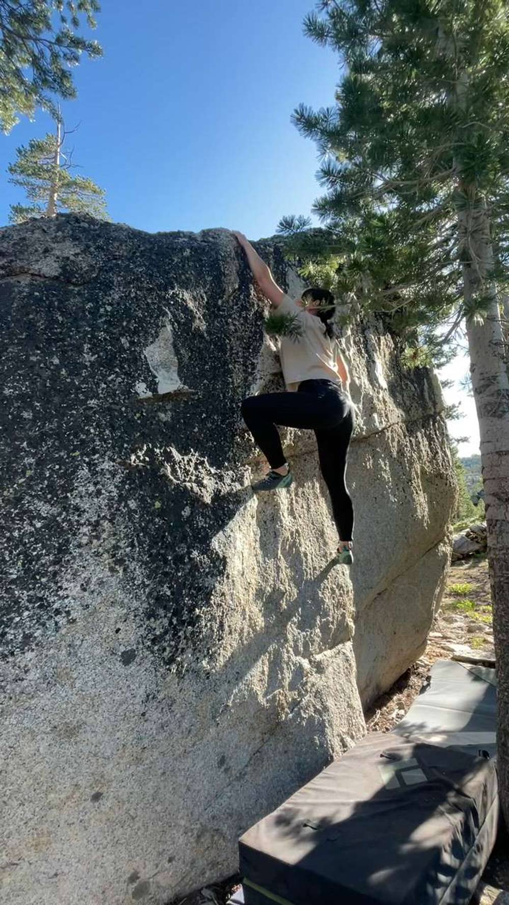 Dental Plan v2, Lake Tahoe - Beta Video from cattycats