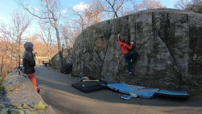 Seamless v3, New York City - Beta Video from vaya_con_doggos