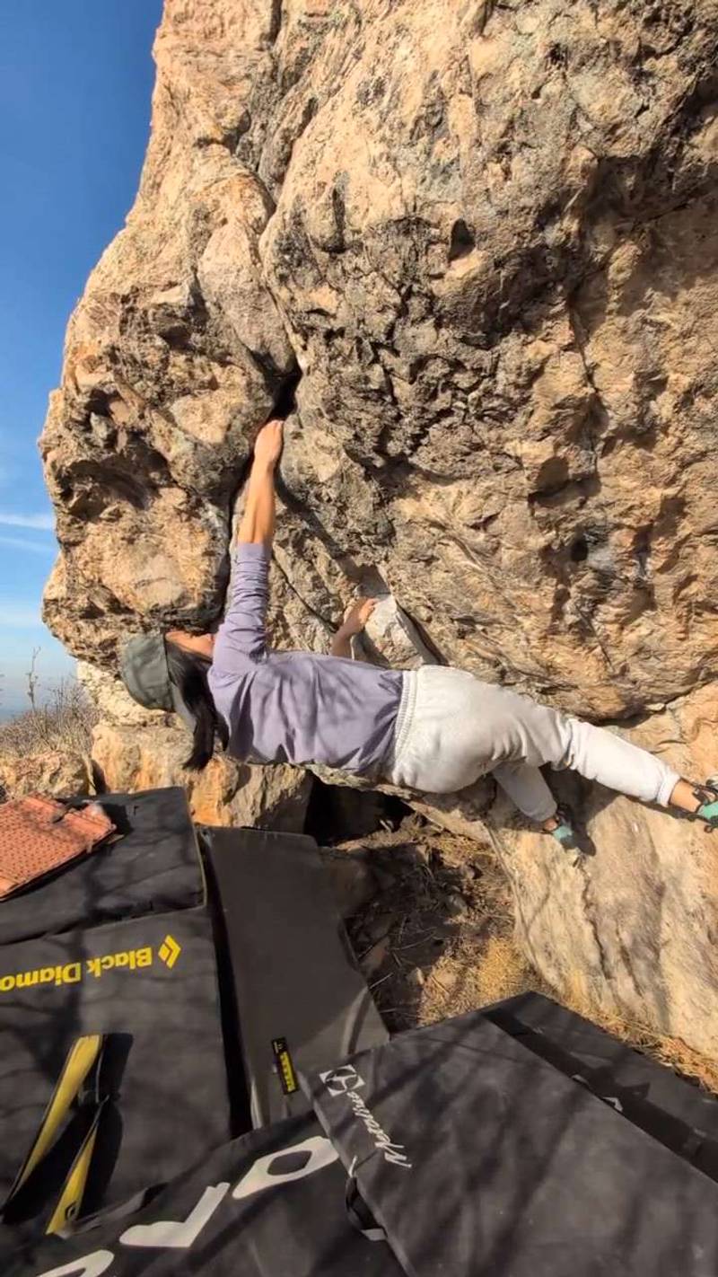 Ivy v3, Ogden - Beta Video from Mengaling