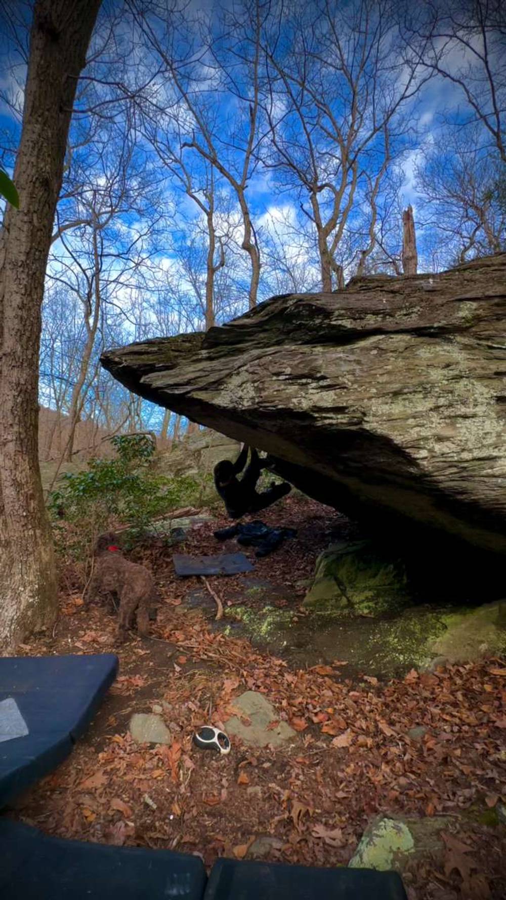 A Spot Named Dog v6, Gunpowder Falls - Beta Video from Theitmann