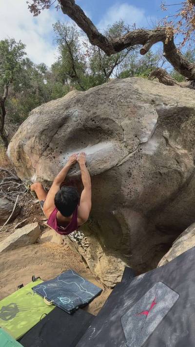 Attack of the Ants v10, Malibu - Beta Video from DanKo