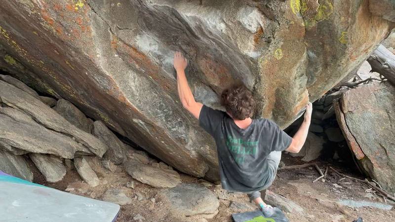 The Forecaster v11, Rock Shop - Beta Video from theomein