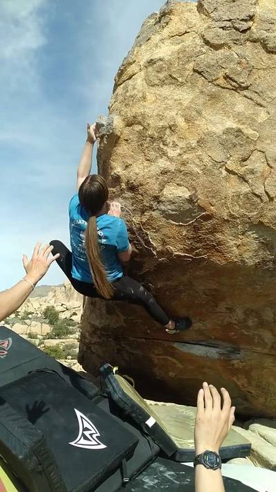 Not So Thin Lizzy v3, Joshua Tree - Beta Video from Ree.Ree