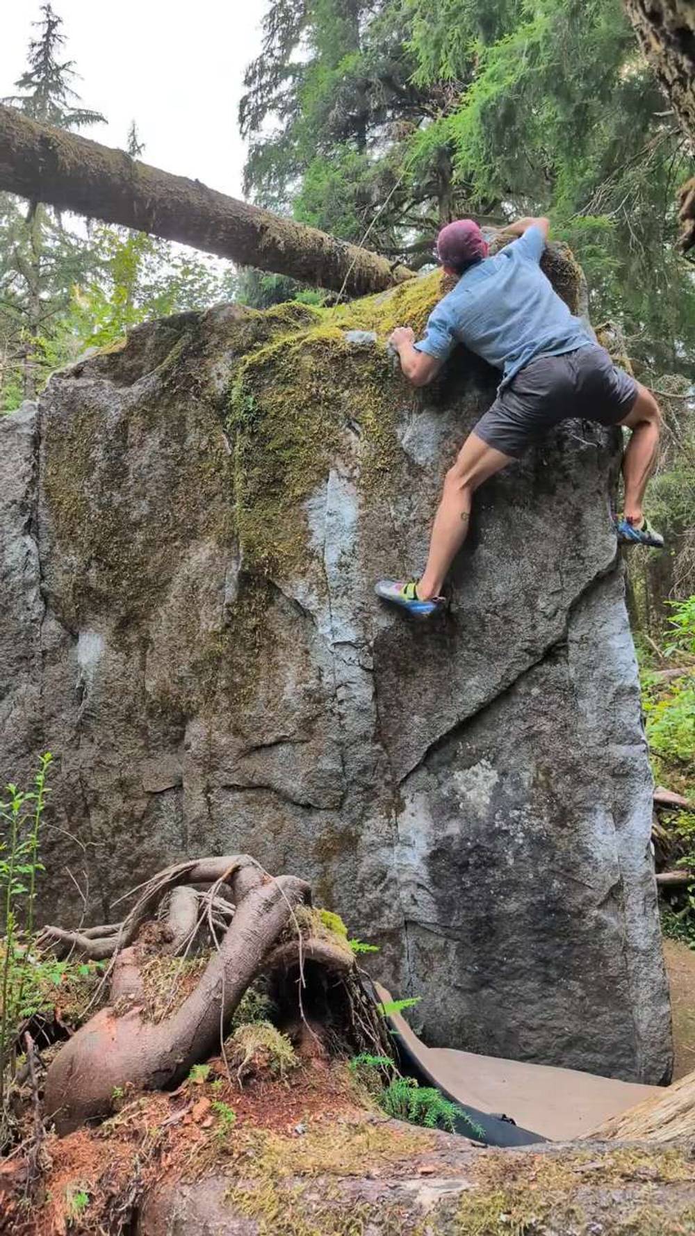 Twacked v6, Miller River - Beta Video from augustus