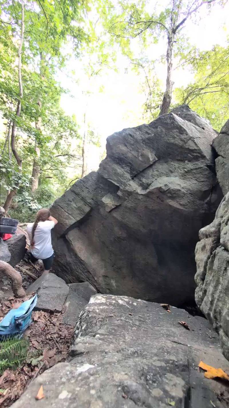 Easy Mark v0, Northwest Branch - Beta Video from HodgepodgeFoxe