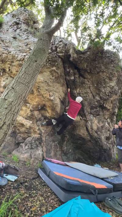 Unnamed Dihedral v4, Berkeley - Beta Video from brendang