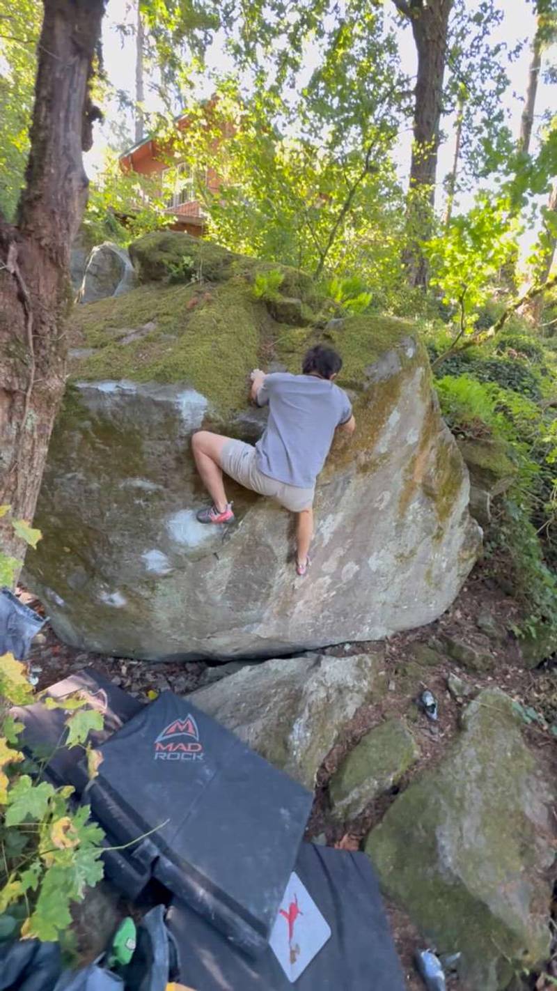 Red Meat Ma'am v7, Carver - Beta Video from Danakin