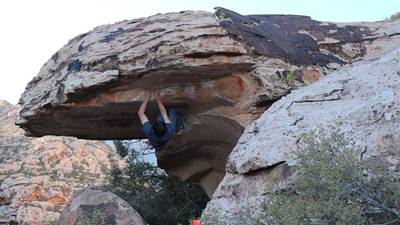 Bonsai v7, Red Rock - Beta Video from LetsMakeBelieve