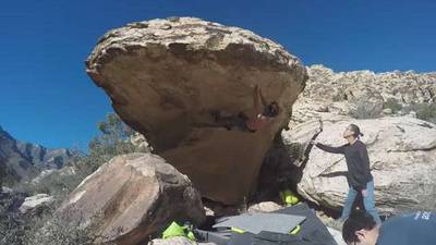 Bonsai v7, Red Rock - Beta Video from seanmorris