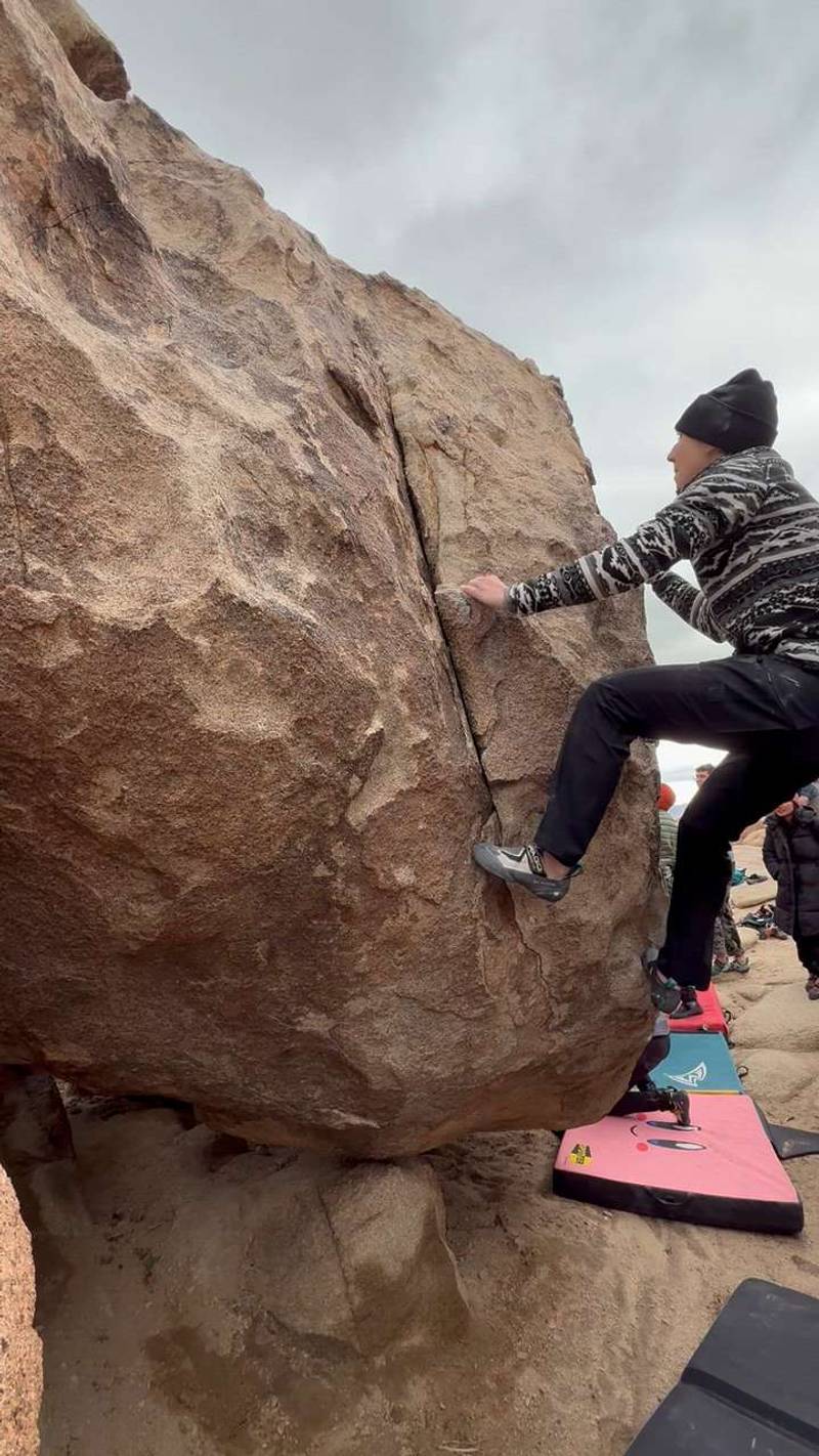 Big Lizard in my Backyard v0, Joshua Tree - Beta Video from meg.ascends