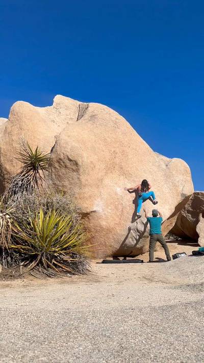 Stem Gem v4, Joshua Tree - Beta Video from stefakneebar