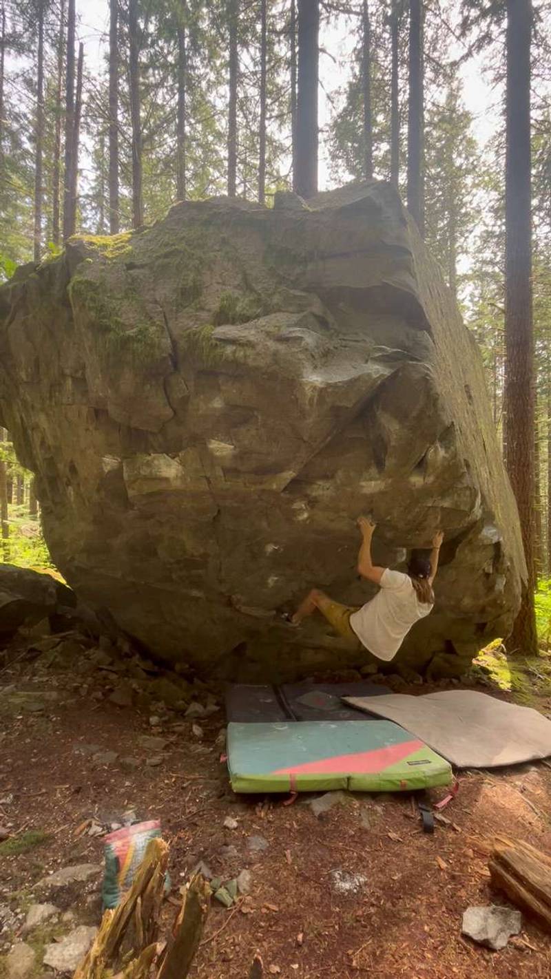 Golden Power Shower Direct v9, North Bend - Beta Video from TayTayCantMantle