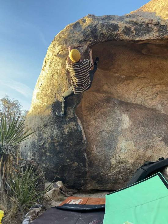 Body and Soul v5, Joshua Tree - Beta Video from advian