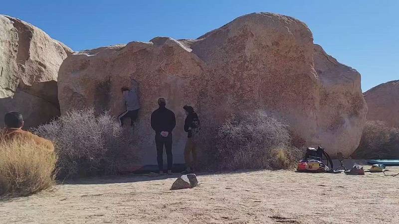 Xylophone v2, Joshua Tree - Beta Video from j.k0000