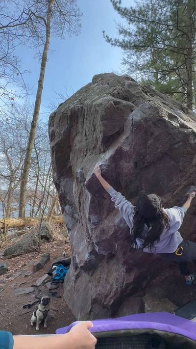Moo Stache v5, Devil's Lake - Beta Video from AEstein