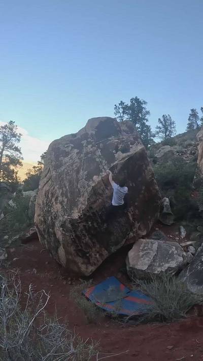 Whale Bacon v0, Red Rock - Beta Video from TinyDynos