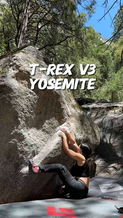 T-Rex v3, Yosemite Valley - Beta Video from steffanie