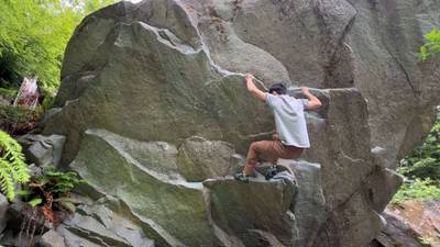 Obesity v7, Gold Bar - Beta Video from weiwayy