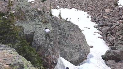 Terrorism Arete v7, Rocky Mountain National Park - Beta Video from juliet_amanda