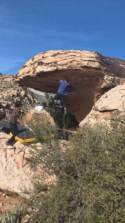 Bonsai v7, Red Rock - Beta Video from TinyDynos