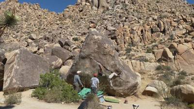 Swinging Richard v4, Joshua Tree - Beta Video from uhbad