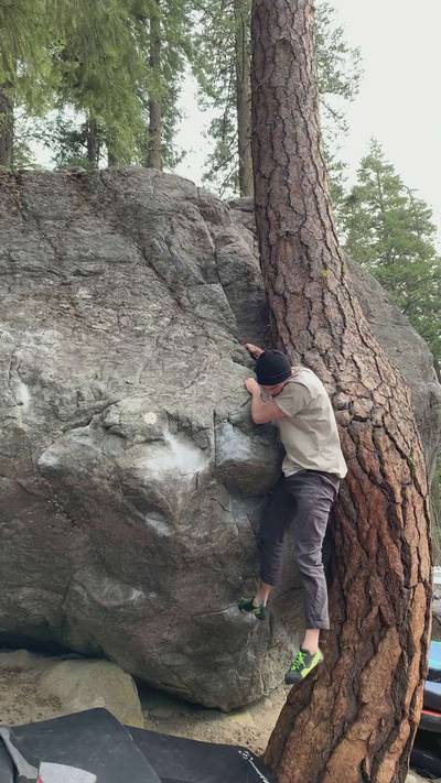 Twisted Tree v4, Leavenworth - Beta Video from Franchise82
