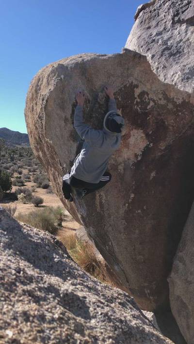 Picture Perfect v1, Joshua Tree - Beta Video from j.k0000