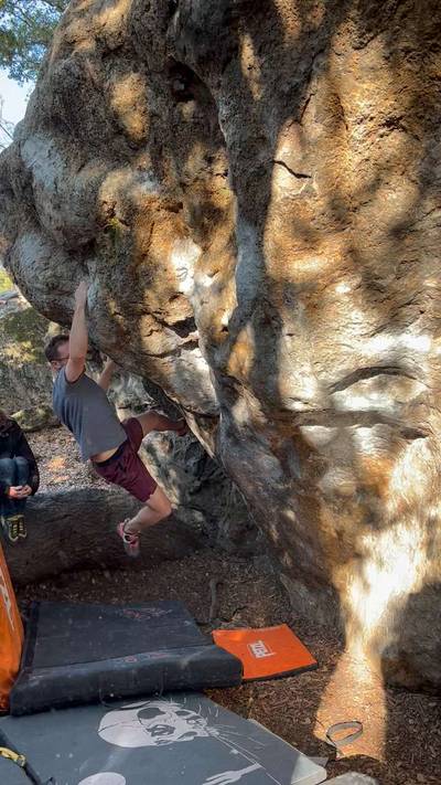 Baby Nat's v6, Berkeley - Beta Video from elikariv