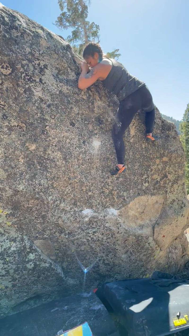 Pure Breed v5, Lake Tahoe - Beta Video from Neddy