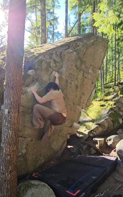 Scotty v1, Gold Bar - Beta Video from Tyzum