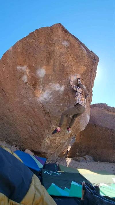 Carrot Top v3, Bishop - Beta Video from PAWketFullOfPosey