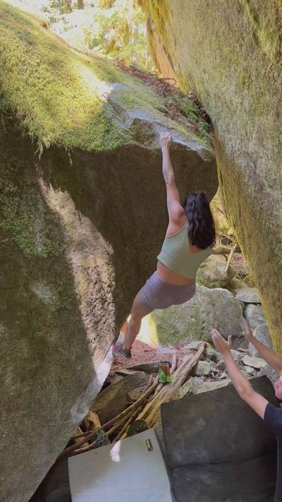 Money Badger v6, Index - Beta Video from lauramarie43