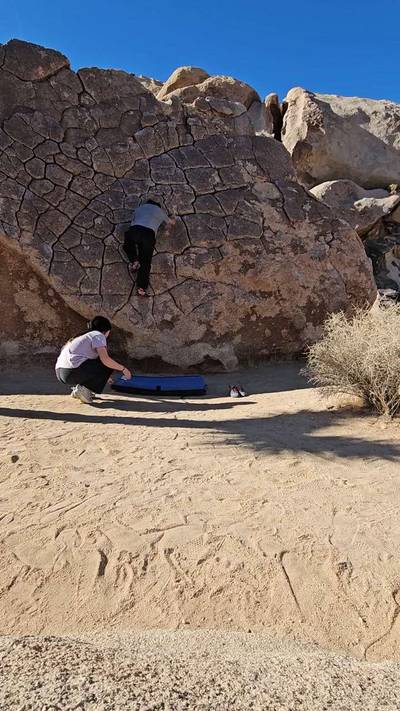 Dragon Scales vB, Joshua Tree - Beta Video from ish