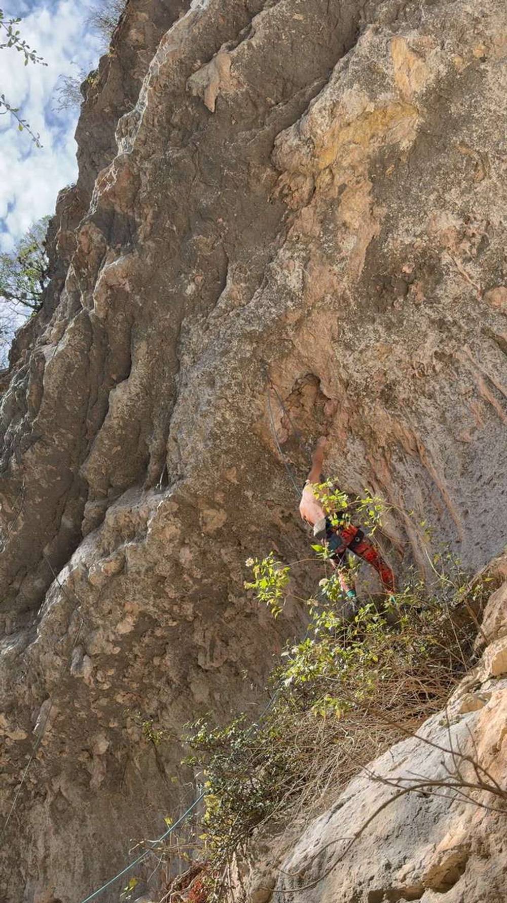 Bolus 5.12d, Reimer's Ranch - Beta Video from arrex.rang