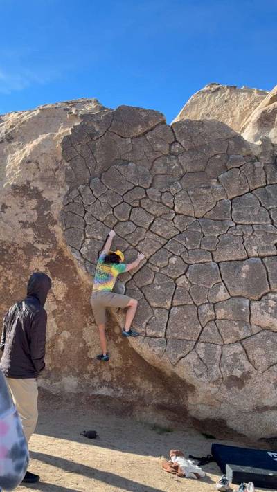 Ilicit Sweetie v0, Joshua Tree - Beta Video from jacecraw