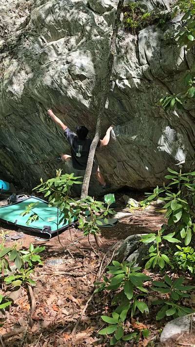 Ribbed for Her Pleasure v5, Moore's Wall - Beta Video from flu.tru