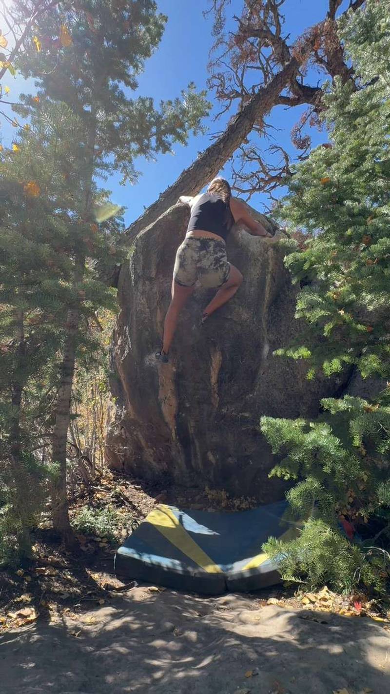 Little Pine v1, Joe's Valley - Beta Video from mirancano