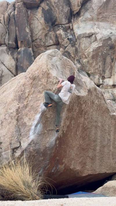 Scatterbrain v6, Joshua Tree - Beta Video from gloveworld