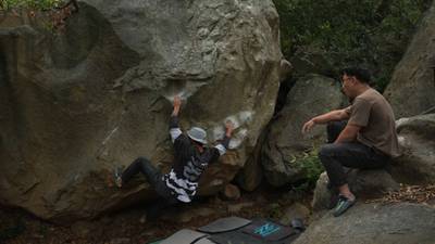 Show Pigs For Rent v9, Santa Barbara - Beta Video from breakingbeta