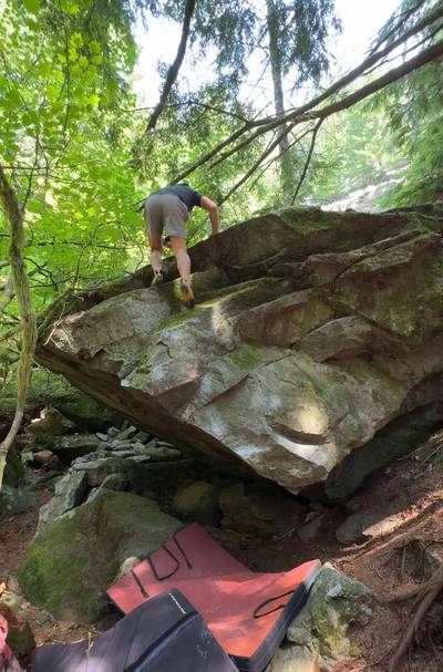 Rhino Chin v5, North Bend - Beta Video from beta_fish