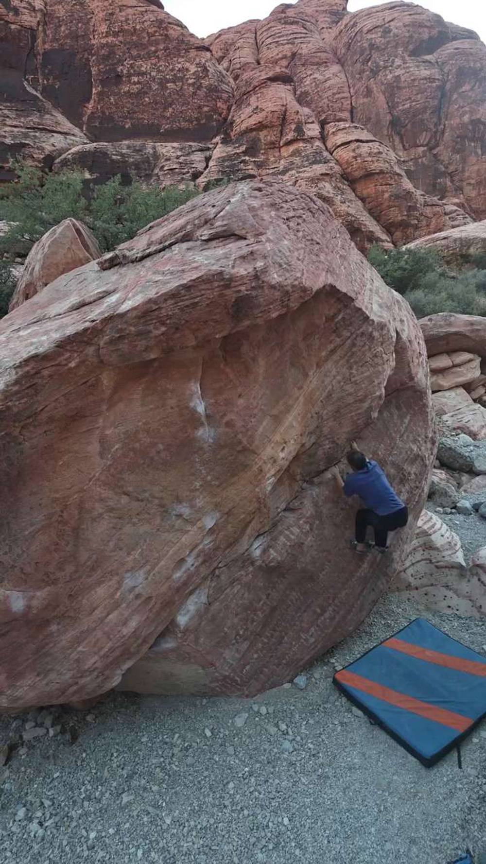 Tail Feather Stand v4, Red Rock - Beta Video from TinyDynos