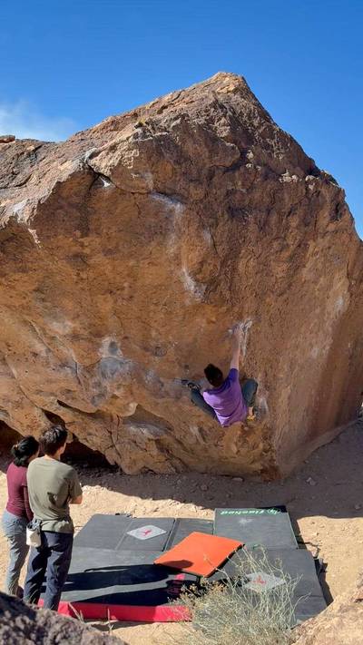 Big Chicken Sit v4, Bishop - Beta Video from aviv