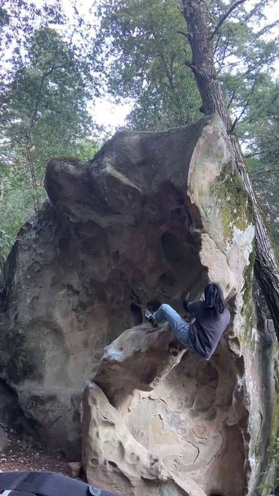 The Shark v1, Indian Rock - Beta Video from JawnJawn