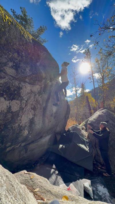 Wild Pack of Family Dogs v6, Lake Tahoe - Beta Video from Bergey