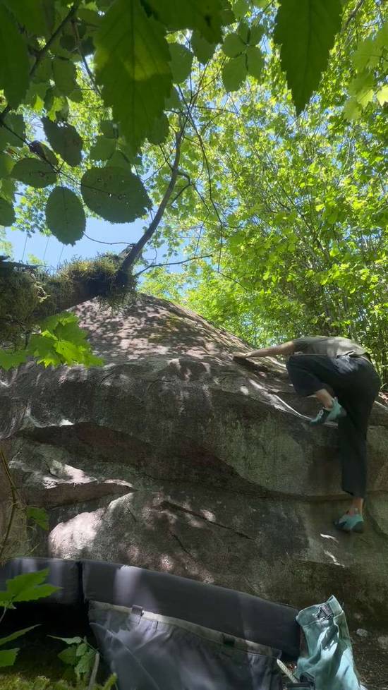 Mossriosity v2, Gold Bar - Beta Video from corentin