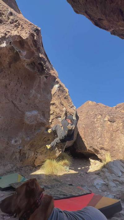 Cue Ball v4, Bishop - Beta Video from pull.man